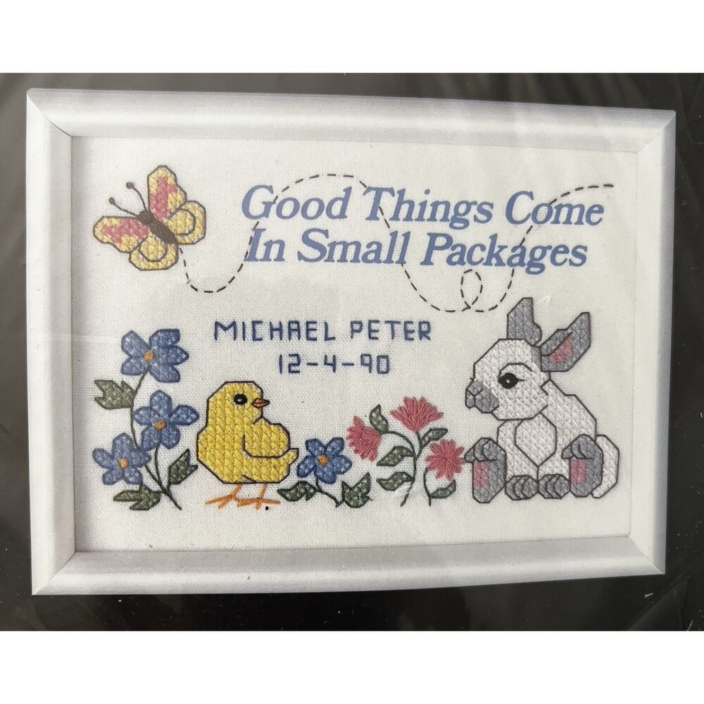 Dimensions Good Things Birth Record 6574 Stamped Cross Stitch Kit 7" X 5"